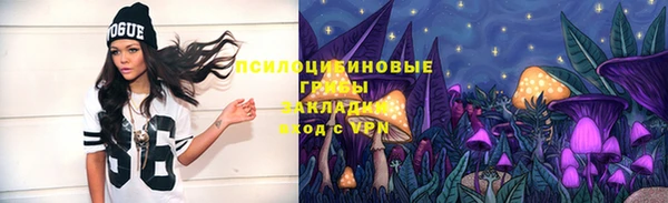 ешки Горнозаводск