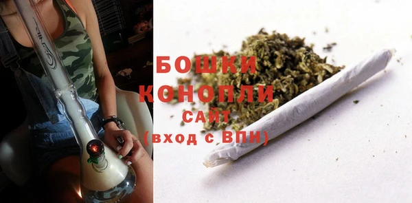 дурь Горно-Алтайск