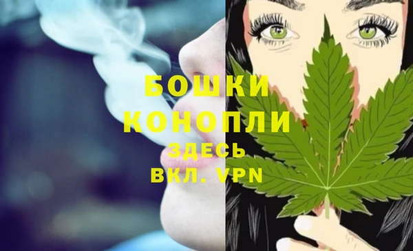 дурь Горно-Алтайск