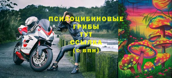 дурь Горно-Алтайск